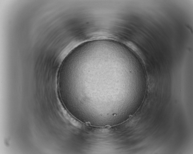 X0000102241431200808011237