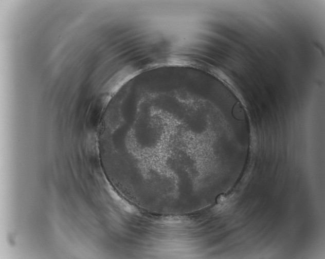 X0000102241433200808011238