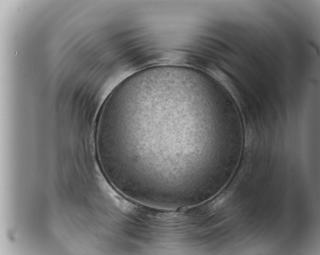 X0000102241434200808011238