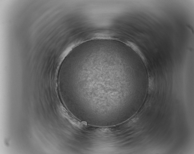 X0000102241435200808011238