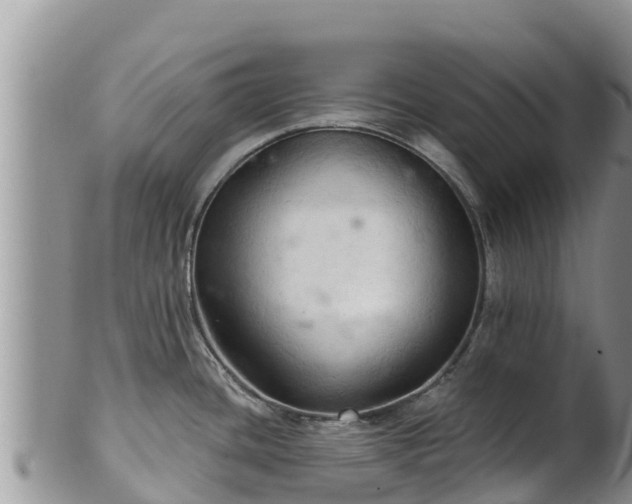 X0000102241436200808011238