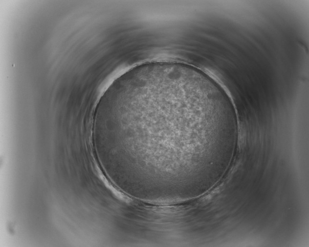 X0000102241437200808011238