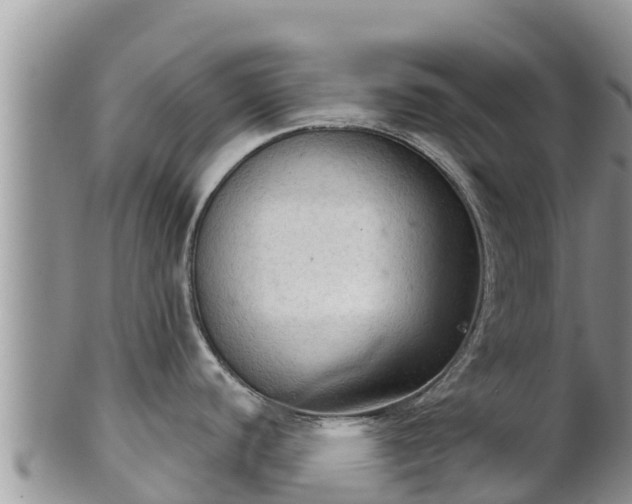 X0000102241440200808011238