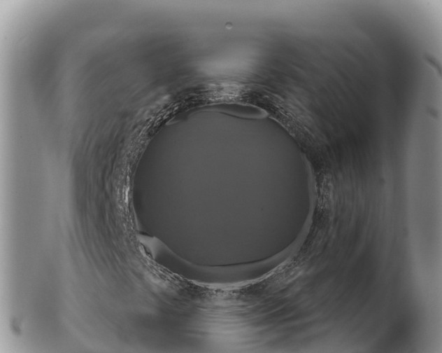 X0000102241441200808011237