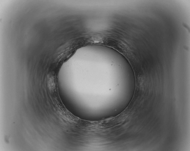 X0000102241442200808011237