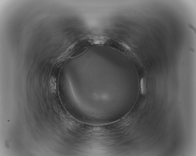 X0000102241443200808011237