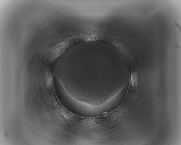 X0000102241444200808011237