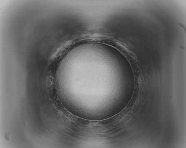 X0000102241447200808011237