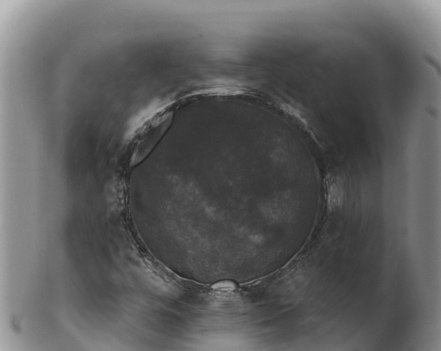 X0000102241448200808011237