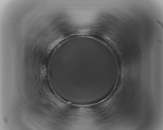 X0000102241449200808011237