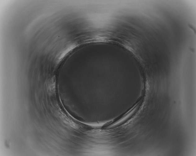 X0000102241450200808011237