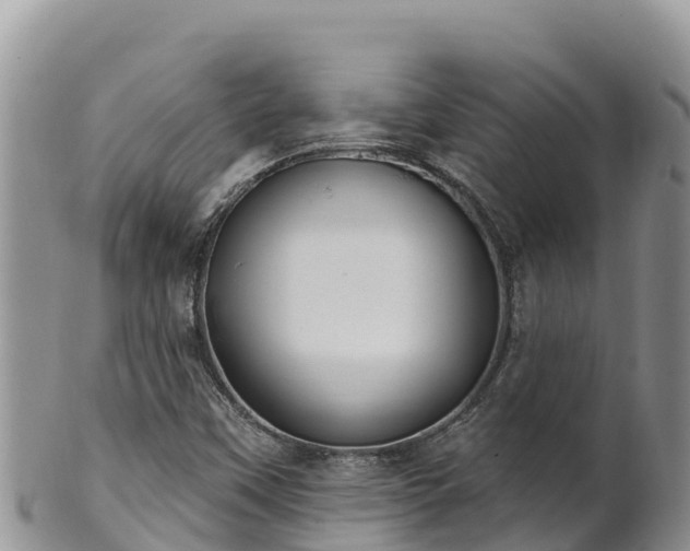 X0000102241451200808011237