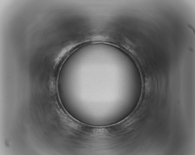 X0000102241454200808011237