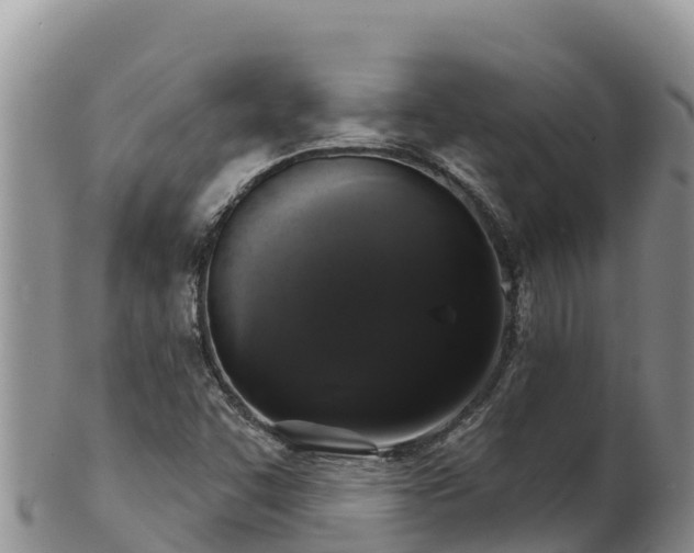 X0000102241455200808011237