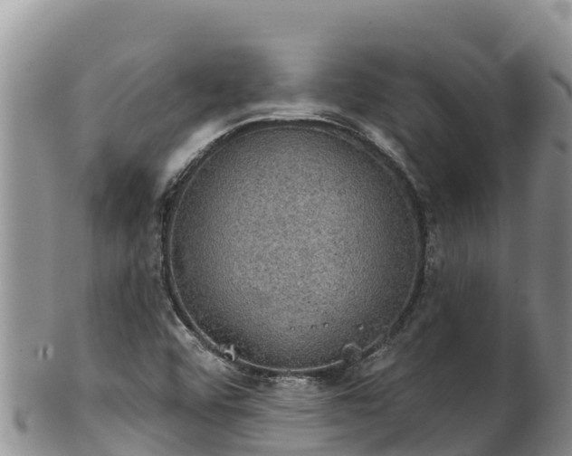 X0000102241456200808011237