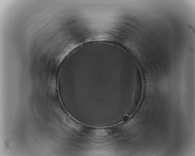 X0000102241457200808011237