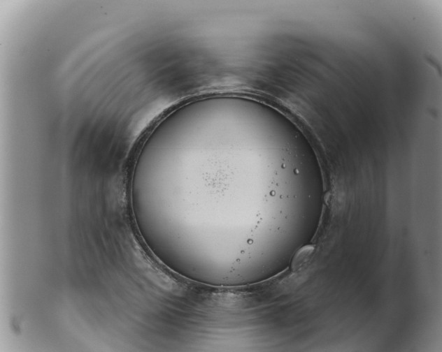 X0000102241458200808011237