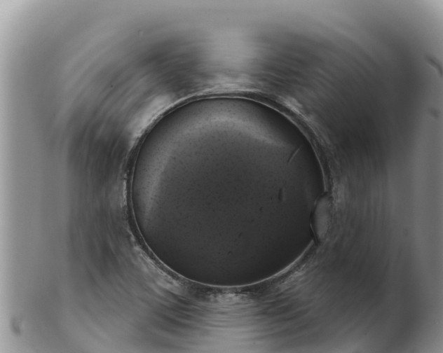 X0000102241459200808011237