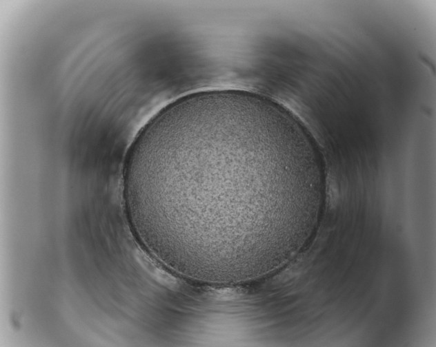 X0000102241460200808011237