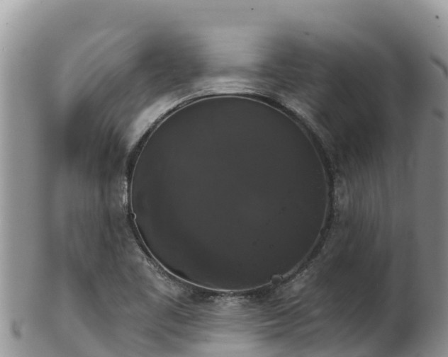 X0000102241461200808011237