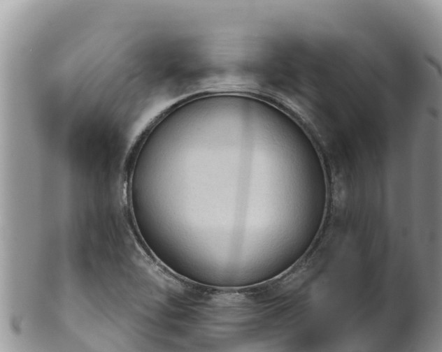 X0000102241462200808011237