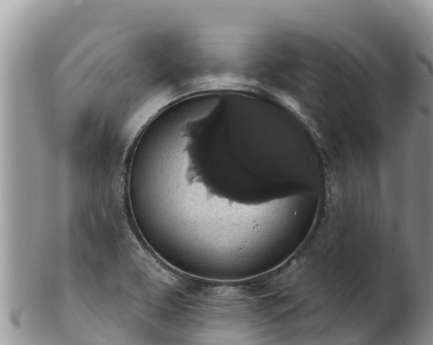 X0000102241463200808011237