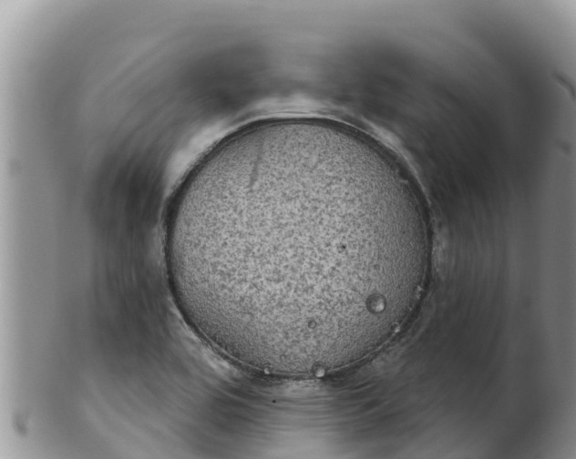 X0000102241464200808011237