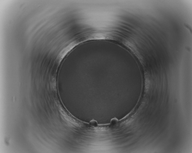 X0000102241465200808011237