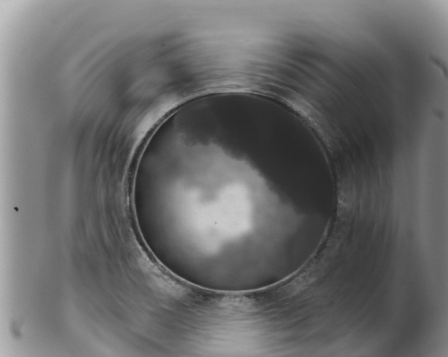 X0000102241466200808011237