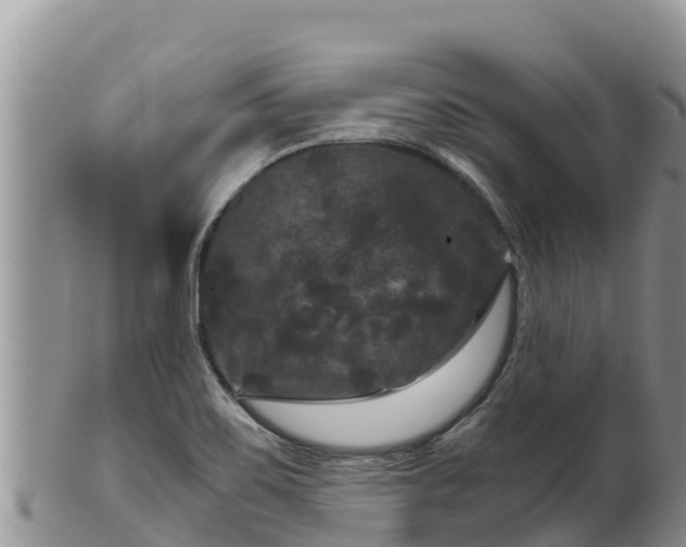 X0000102241467200808011237