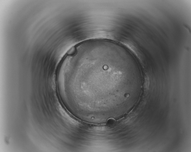 X0000102241468200808011237