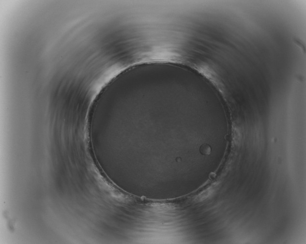 X0000102241469200808011237