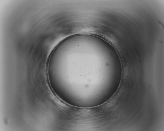 X0000102241470200808011237