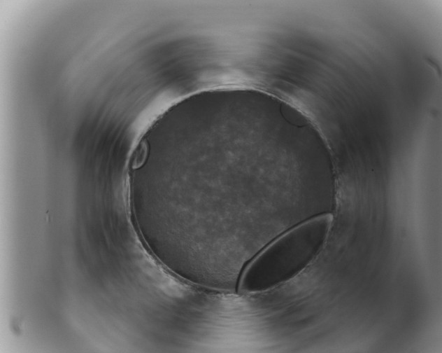 X0000102241472200808011236