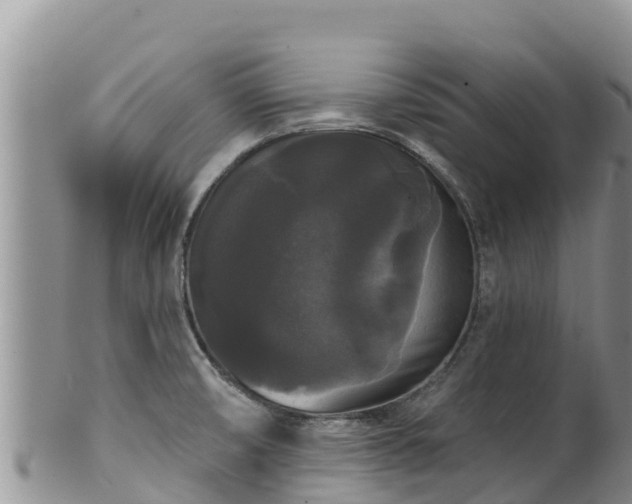 X0000102241474200808011236