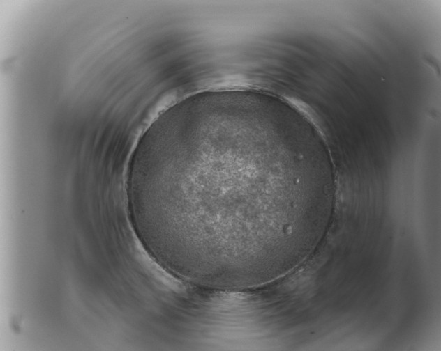 X0000102241475200808011236