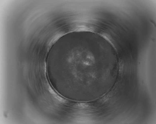 X0000102241476200808011236