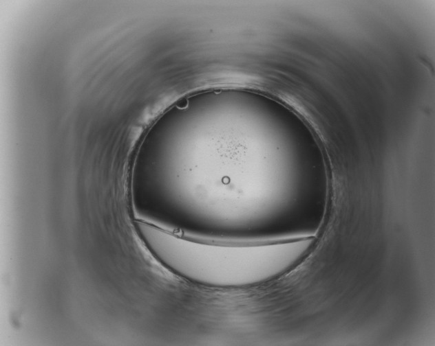 X0000102241477200808011236