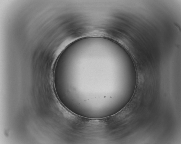 X0000102241478200808011236