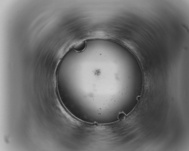 X0000102241479200808011236