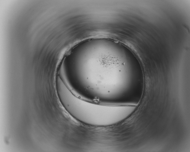 X0000102241480200808011236