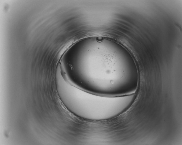 X0000102241481200808011236