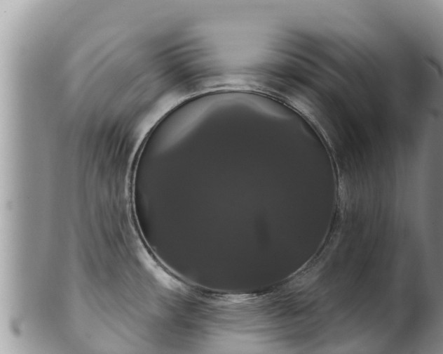 X0000102241482200808011236