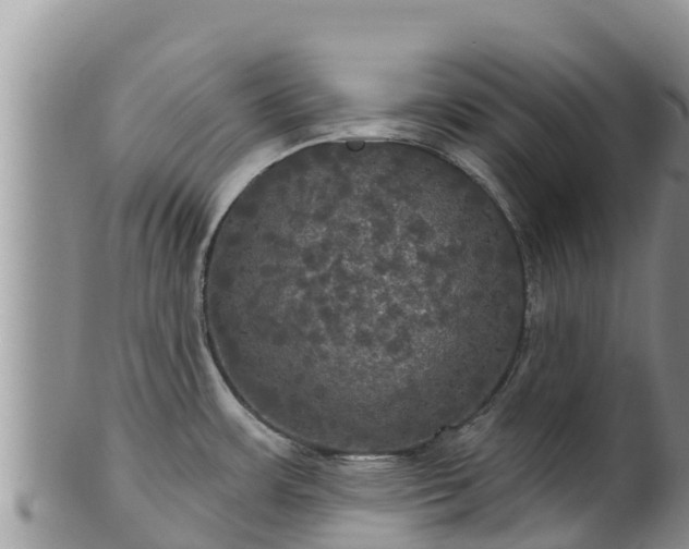 X0000102241483200808011236