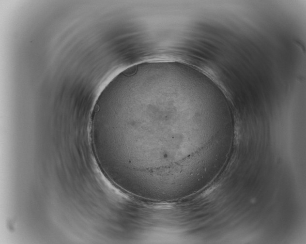 X0000102241484200808011236