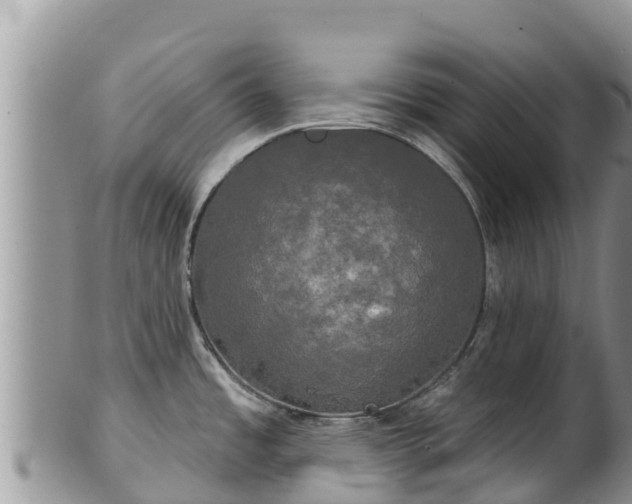 X0000102241485200808011236