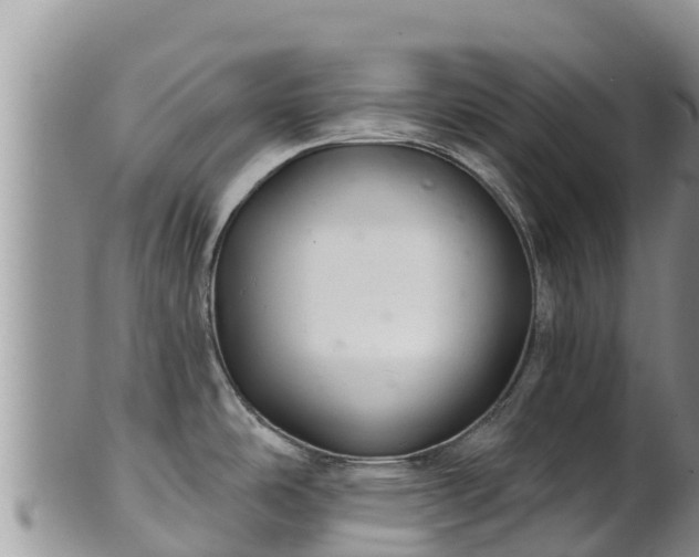 X0000102241486200808011236