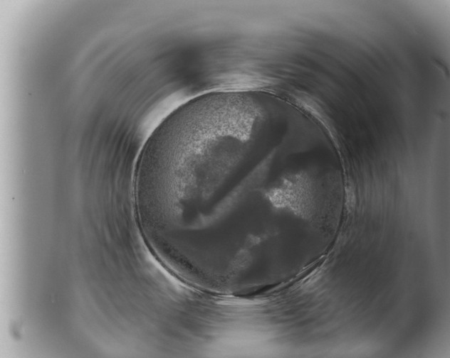 X0000102241487200808011236