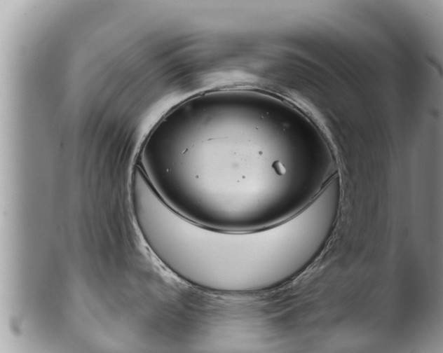 X0000102241488200808011236