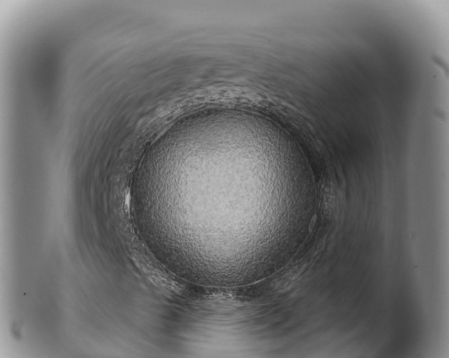 X0000102241489200808011236